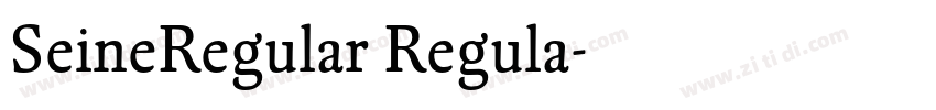 SeineRegular Regula字体转换